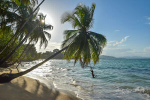 Punta Uva beach in Costa Rica, wild and beautiful caribbean coast